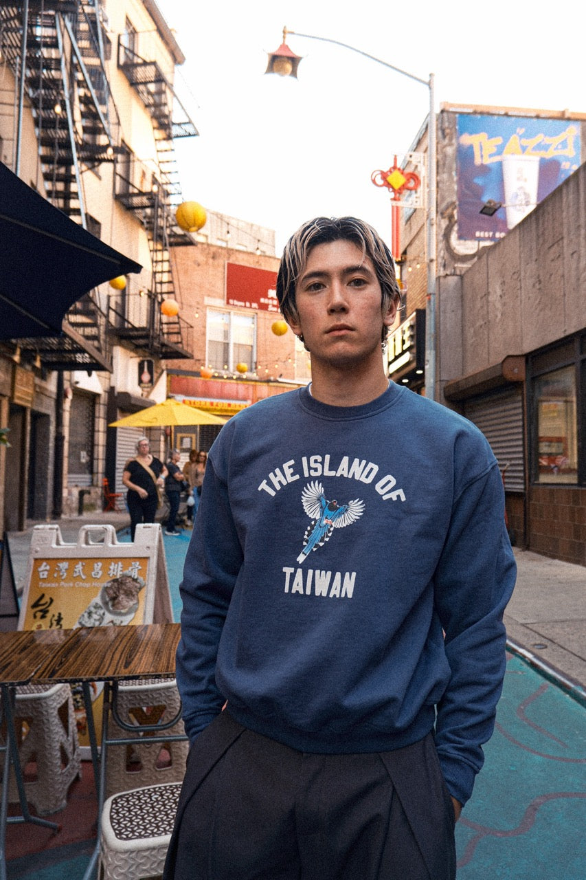 Model wearing navy Island of Taiwan Sweatshirt