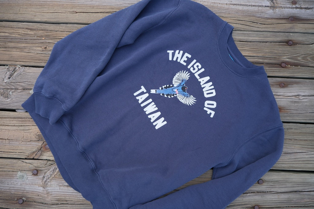 sweatshirt on boardwalk
